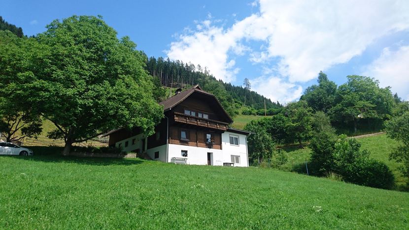 Wohnung im Grünen!