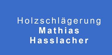 Holzschlägerung Mathias Hasslacher