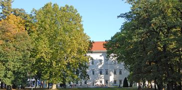 Stadtpark mit Schloss