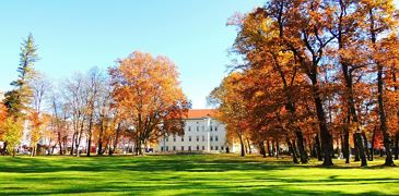 Unser Park im Herbst