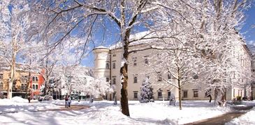 Winter im Schlosspark