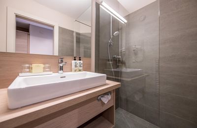 Double room, shower and bath, toilet, 1 bed room