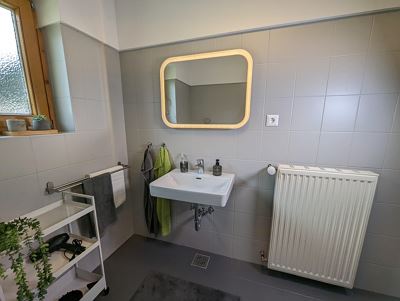 Apartment, shower and bath tub, 2 bed rooms