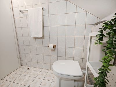 Apartment, shower, toilet, 3 bed rooms