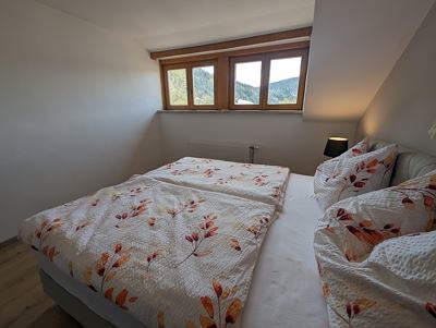 Apartment, shower, toilet, 3 bed rooms