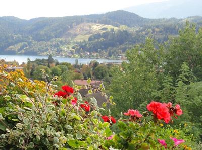 Appartement Roswitha mit Seeblick