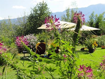 Appartement Roswitha mit Seeblick