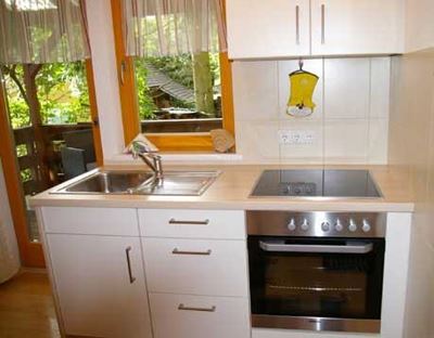 Apartment, shower, toilet, facing the forest