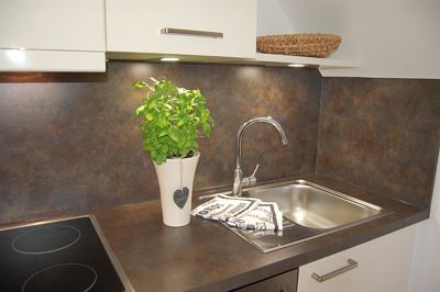 Apartment, shower and bath tub, south