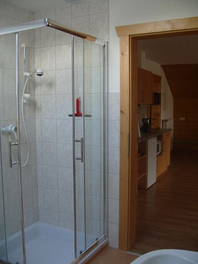 Apartment, shower, toilet, west