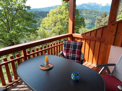 Apartment, shower and bath, toilet, lake view