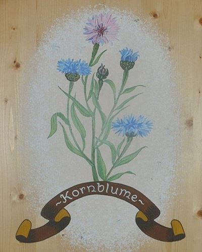 Kornblume