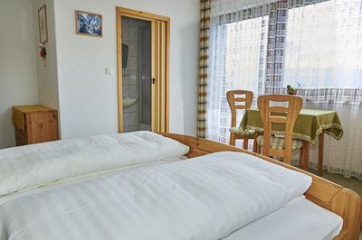 Double room, shower, toilet, 1 bed room