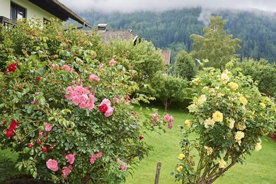 Einzelzimmer, Dusche oder Bad, WC, gartenseitig