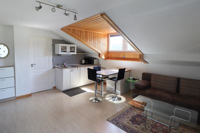 Apartment with Balcony and Lake View