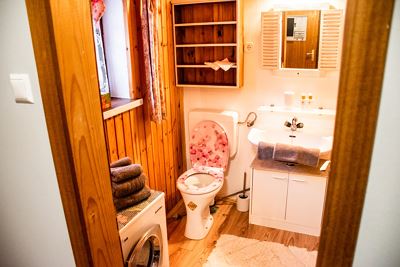 Holiday home, shower and bath, toilet, facing the forest