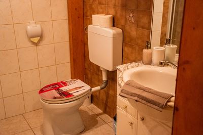 Holiday home, shower and bath, toilet, facing the forest