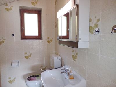 Holiday home, shower or bath, toilet, lake view