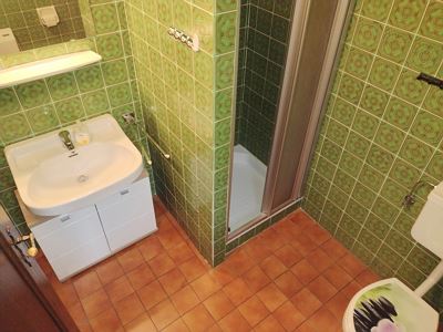 Holiday home, shower or bath, toilet, lake view