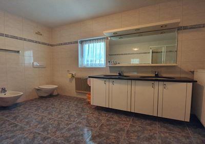 Apartment, shower and bath tub, 1 bed room