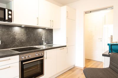 Appartement Bachstelze für 2 - 5 Personen