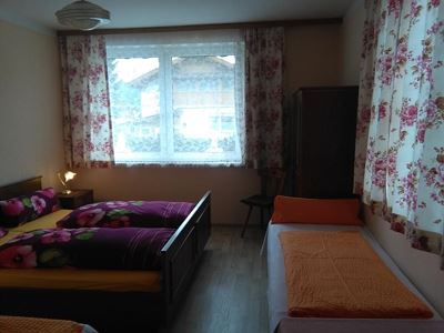 Triple room, shower, toilet, 1 bed room