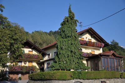 Apartment, shower, toilet, balcony