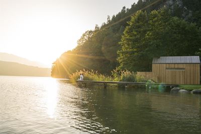 Bivouac Reed | canna palustre