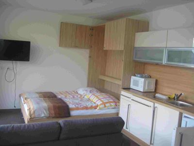 Apartment, shower, toilet, 1 bed room