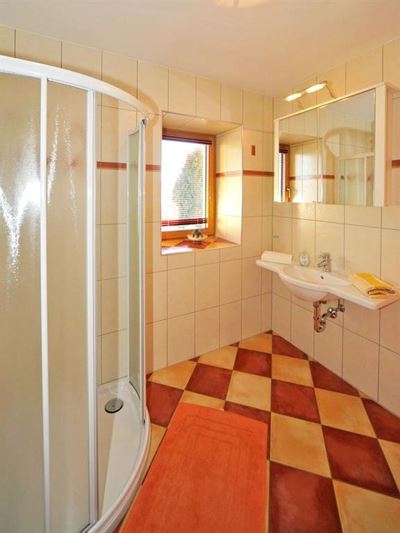 Apartment, shower, toilet, balcony