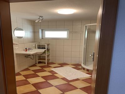 Apartment, shower, toilet, balcony