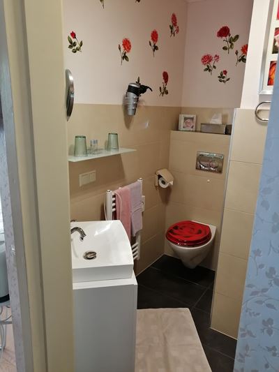 Double room, shower, toilet, superior