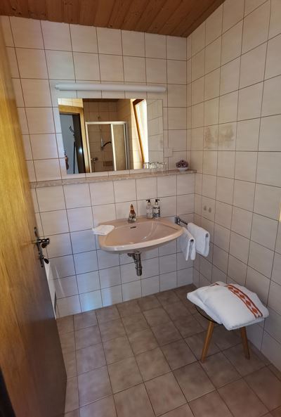 Apartment, shower or bathtub, standard