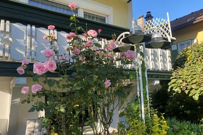 Doppelzimmer mit Dusche, WC und Balkon