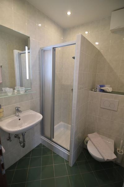 Double room, shower, toilet, lake view