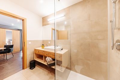 Double room, shower or bath, toilet, deluxe