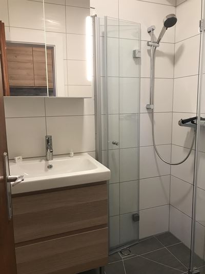 Apartment, shower, toilet, balcony