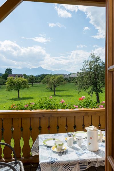 Appartement Salzkofelblick