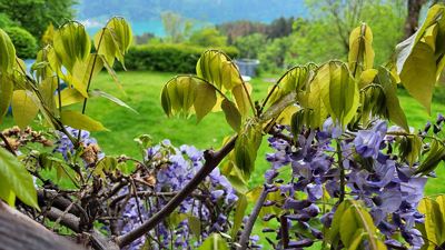 Camera per famiglie, doccia, vista lago