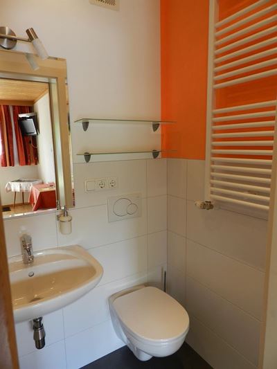 Double room, shower, toilet, lake view