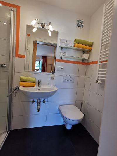 Double room, shower, toilet, lake view