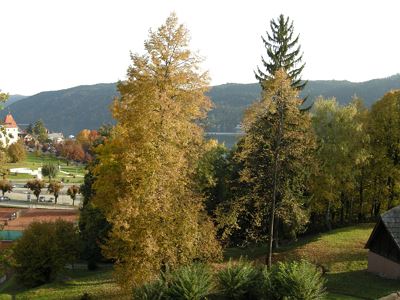 TURMZIMMER Balkon zum See (Studio 2-4 p.)