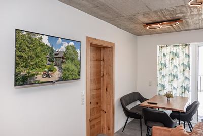 Apartment, shower, lake view