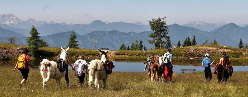 Geführte Lamatouren