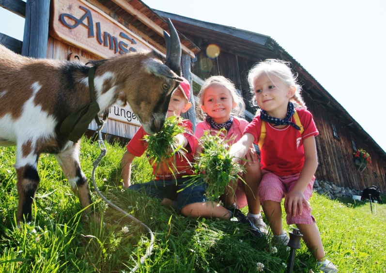 Almerlebnistag auf der Lammersdorferalm