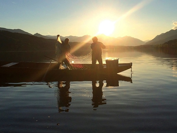 Fangfrischer Fisch aus dem See