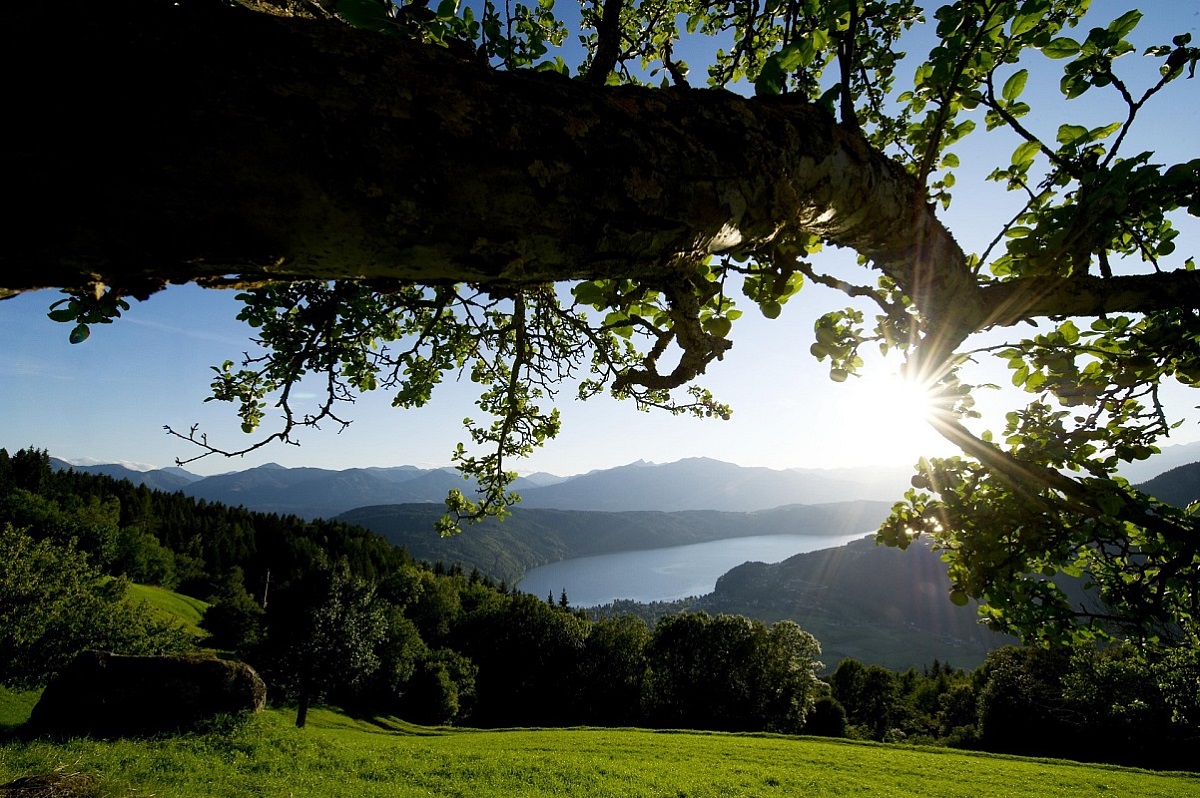 Der Panoramablick von Gschriet auf den Millstätter See