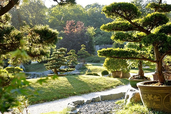 Bonsai Museum Seeboden