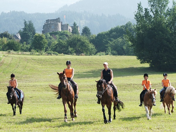 Horseback Riding Experts around the lake