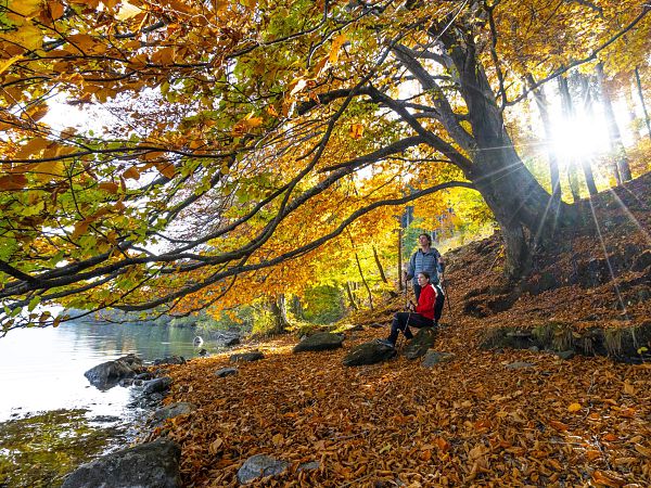 Camping:Kärnten:See - zu jeder Jahreszeit!